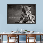 Jaguar Eyes Pop Wall Art