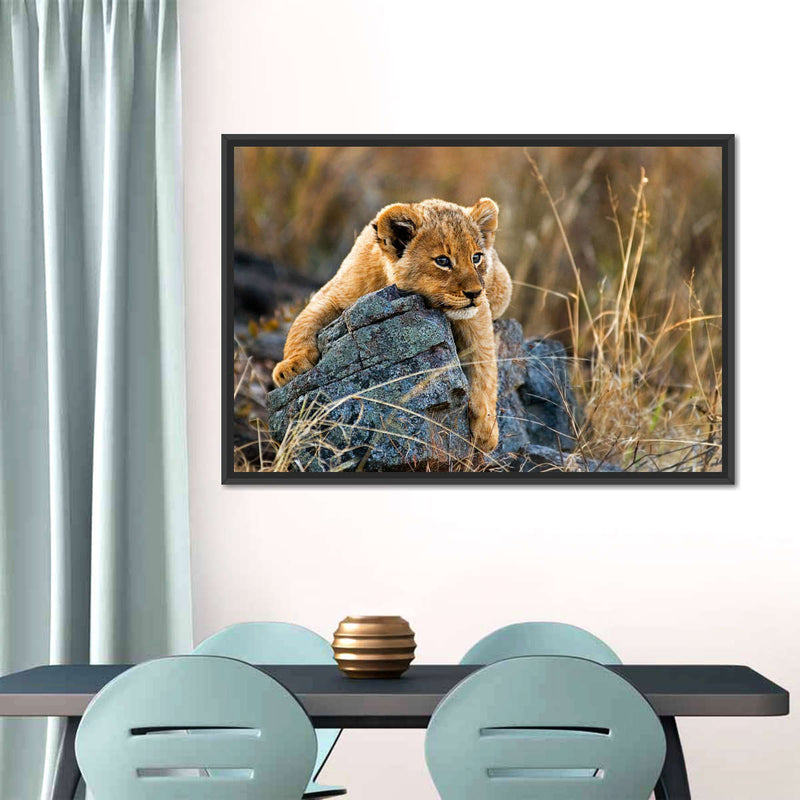Safari Lion Cub Wall Art