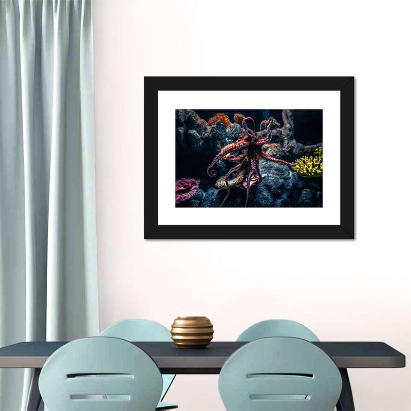Octopus Habitat Wall Art