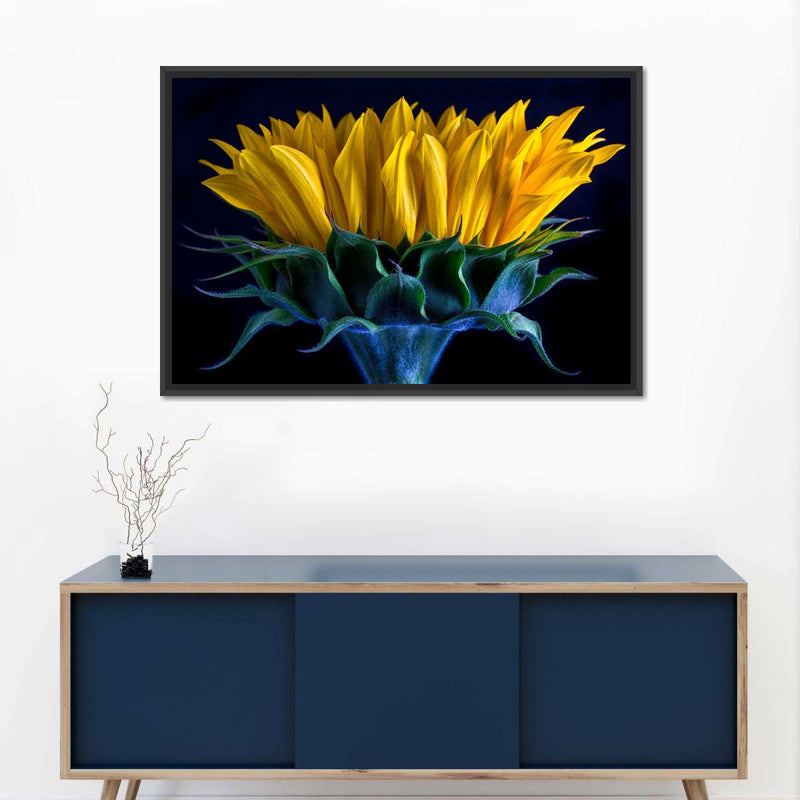Sunflower Side View Wall Art