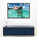 Swimming Pig Wall Art