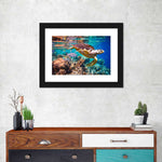 Vivid Sea Life Wall Art