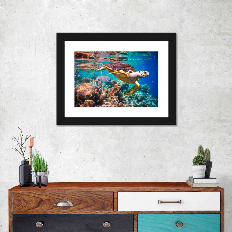 Vivid Sea Life Wall Art