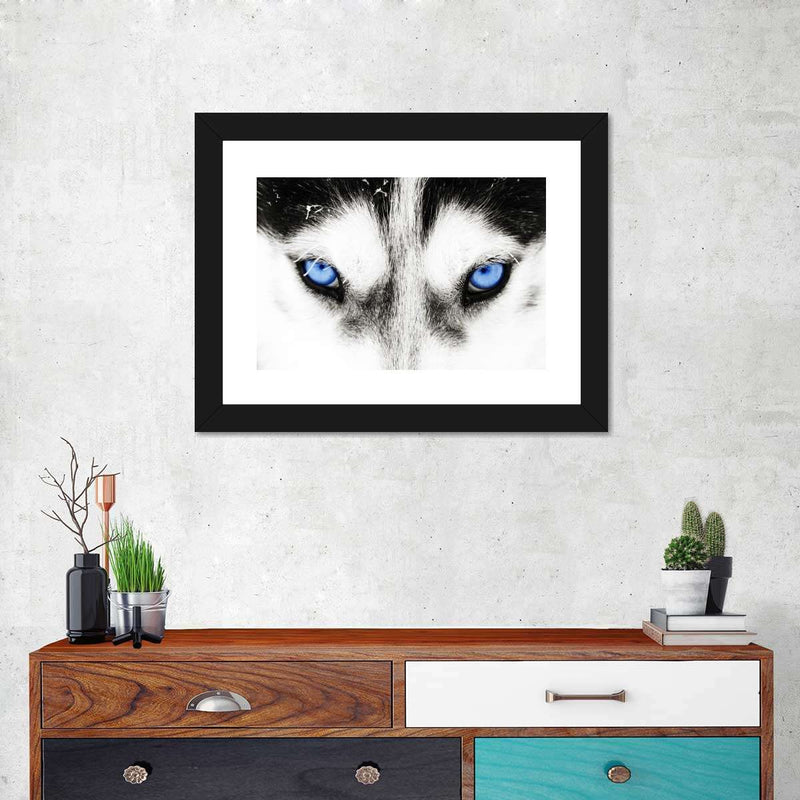 Husky's Eyes Wall Art