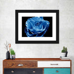 Misty Blue Rose Wall Art