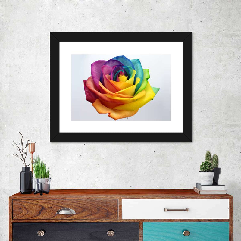 Rainbow Rose Wall Art