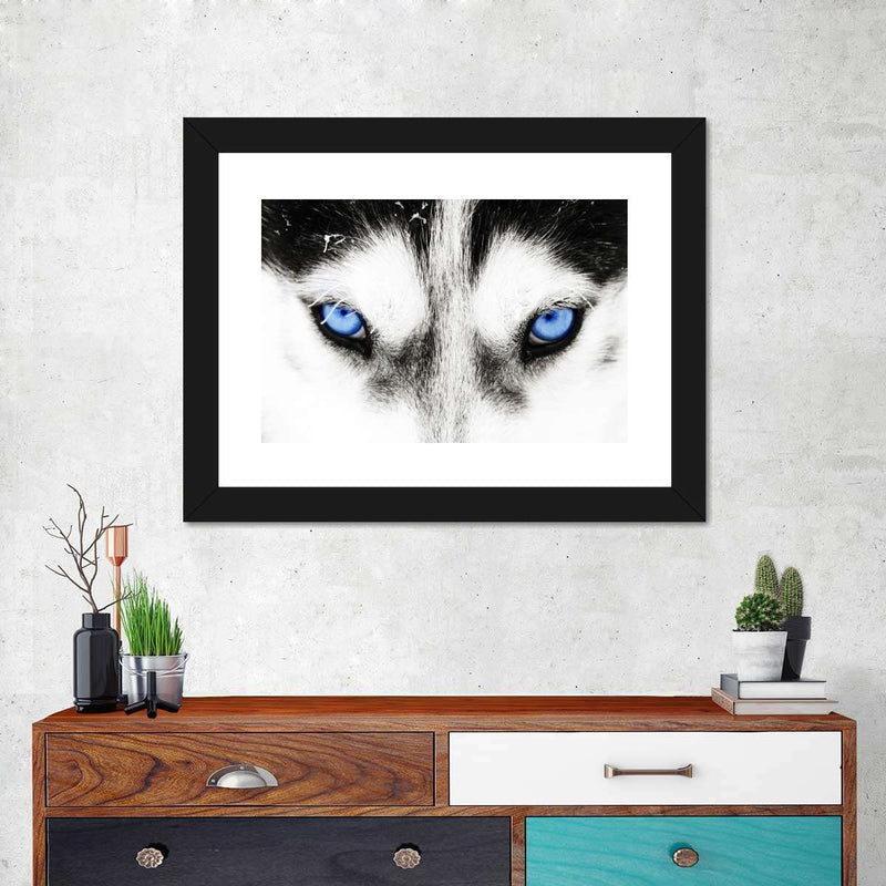 Husky's Eyes Wall Art