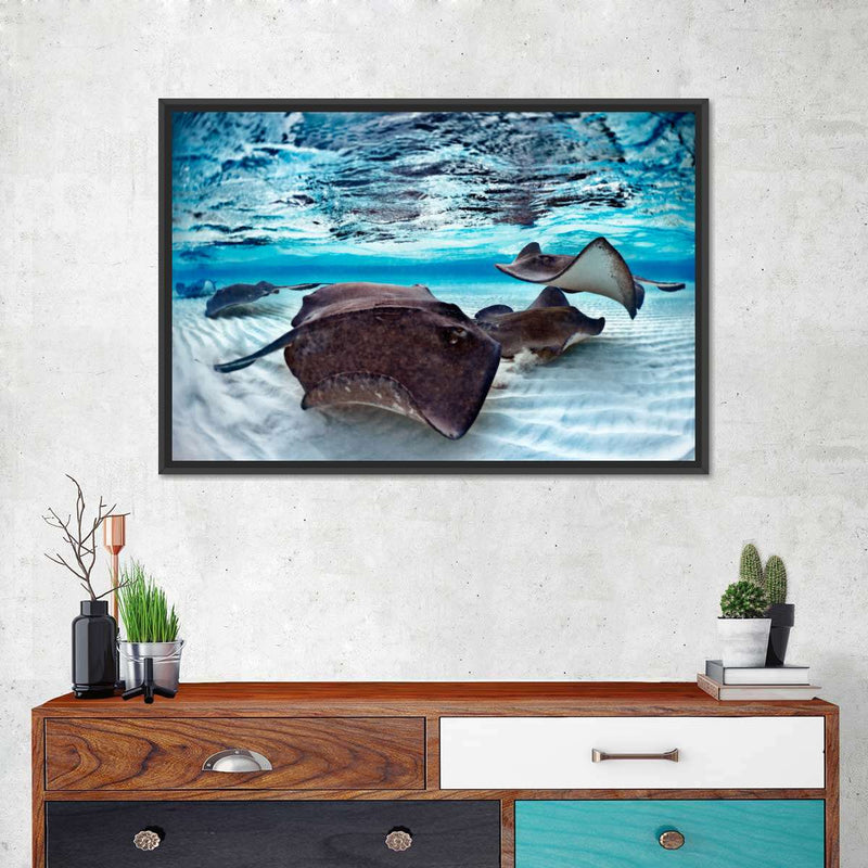 Stingrays Sea Life Wall Art