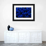 Royal Blue Roses Wall Art