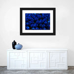 Royal Blue Roses Wall Art