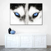 Husky's Eyes Wall Art