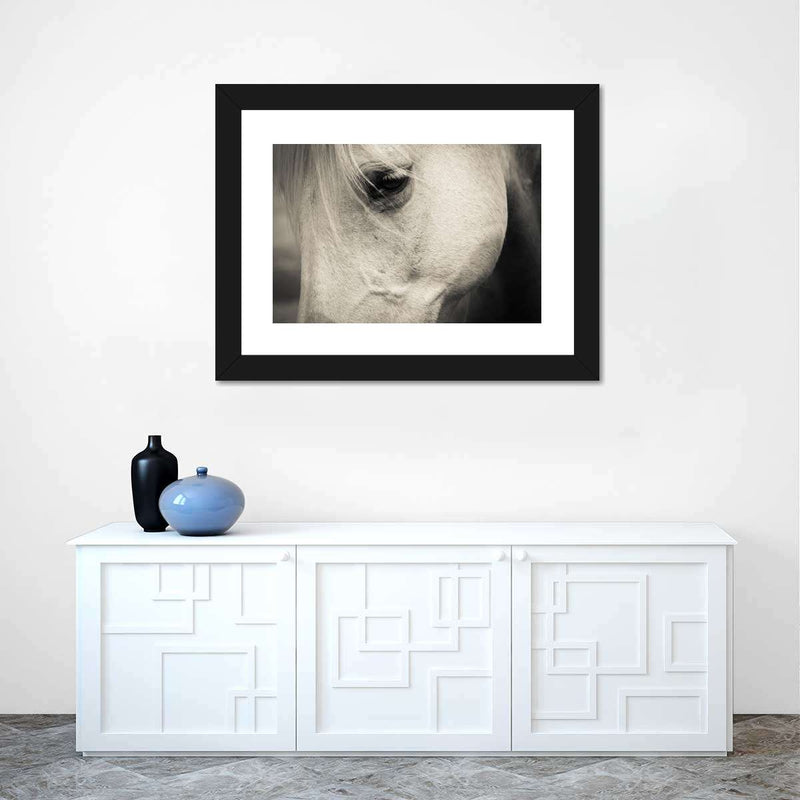 White Horse Eye Wall Art