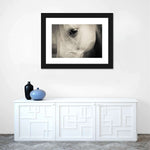 White Horse Eye Wall Art