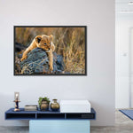 Safari Lion Cub Wall Art