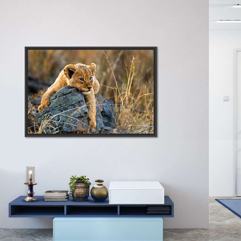 Safari Lion Cub Wall Art