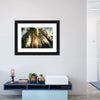 Redwood Trees Sunset Wall Art