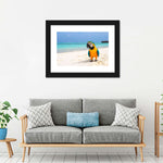 Parrot On Summer Day Wall Art