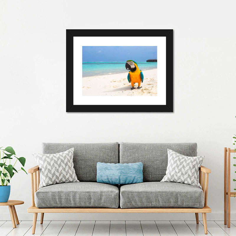 Parrot On Summer Day Wall Art