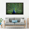 Peacock Feathers Wall Art