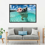 Swimming Pig Wall Art