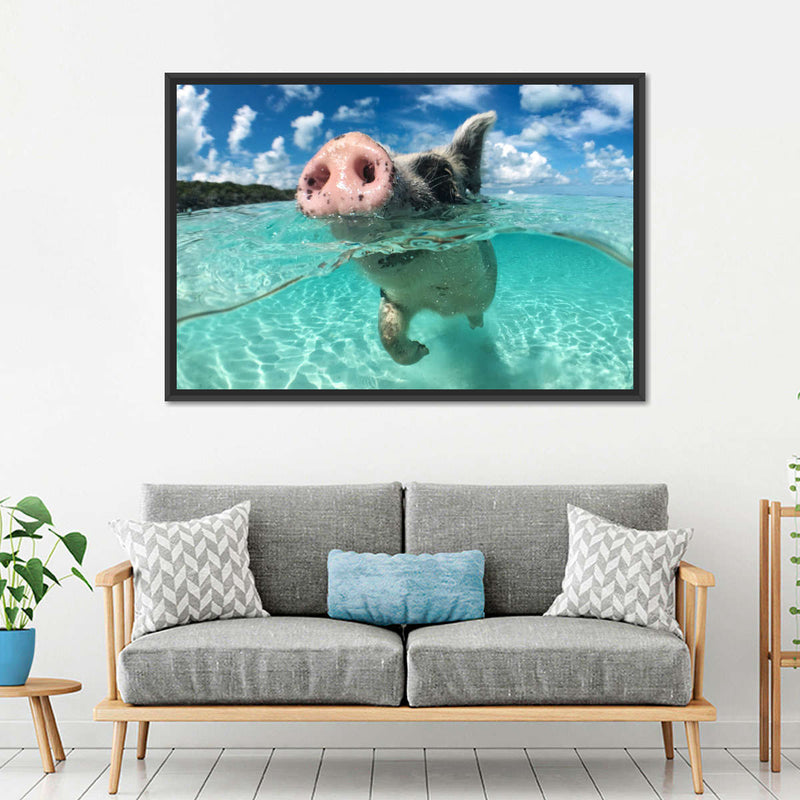 Swimming Pig Wall Art