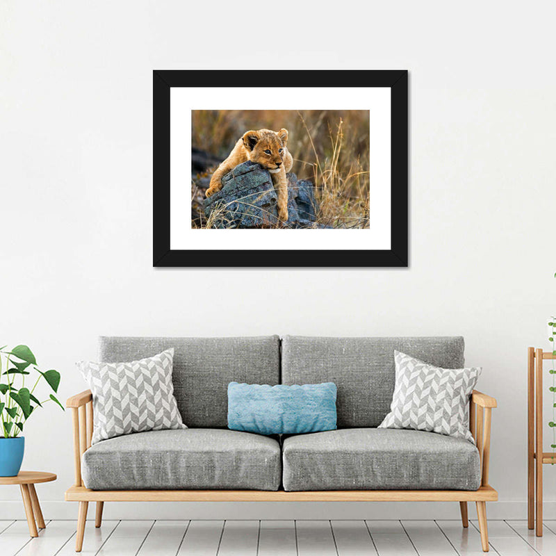 Safari Lion Cub Wall Art