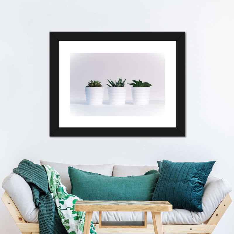 Three Succulents Wall Art