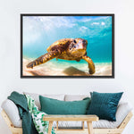 Hawaiian Turtle Wall Art