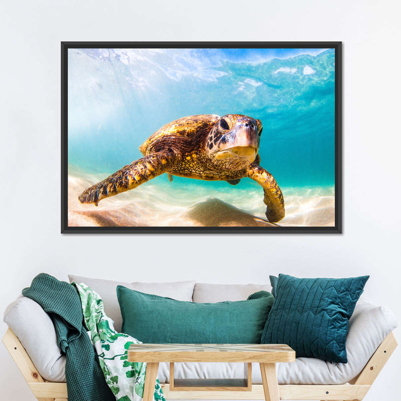 Hawaiian Turtle Wall Art