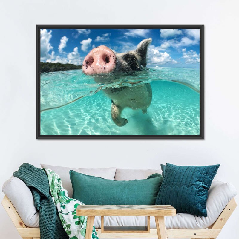 Swimming Pig Wall Art