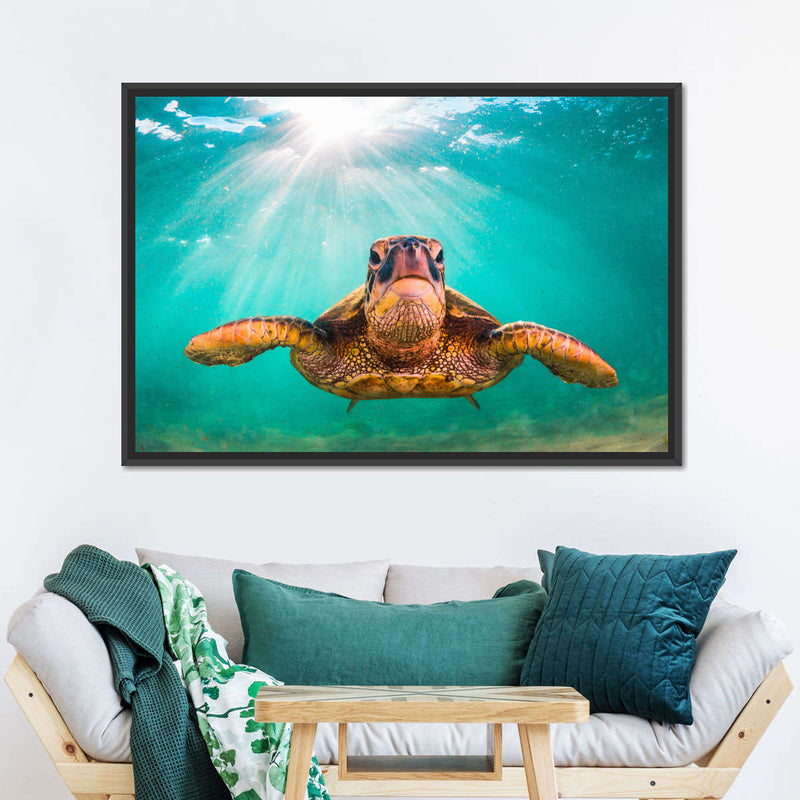 Maui Green Turtle Wall Art