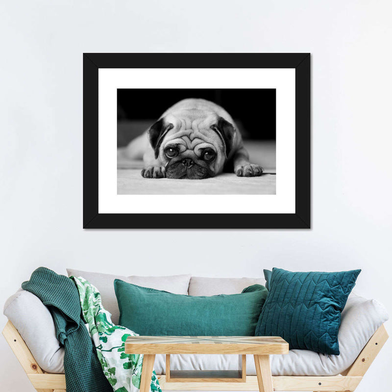 Sad Pug Wall Art