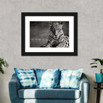 Jaguar Eyes Pop Wall Art
