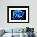 Misty Blue Rose Wall Art