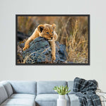 Safari Lion Cub Wall Art