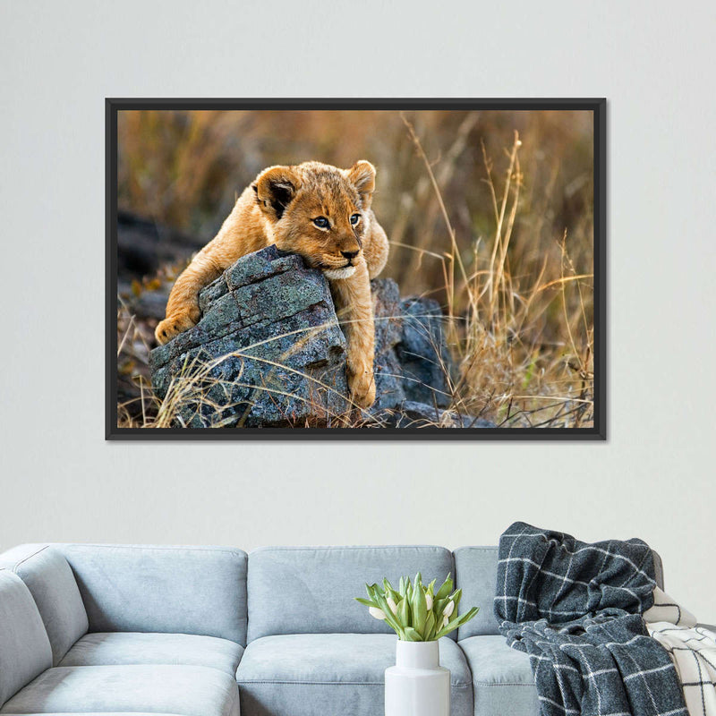 Safari Lion Cub Wall Art