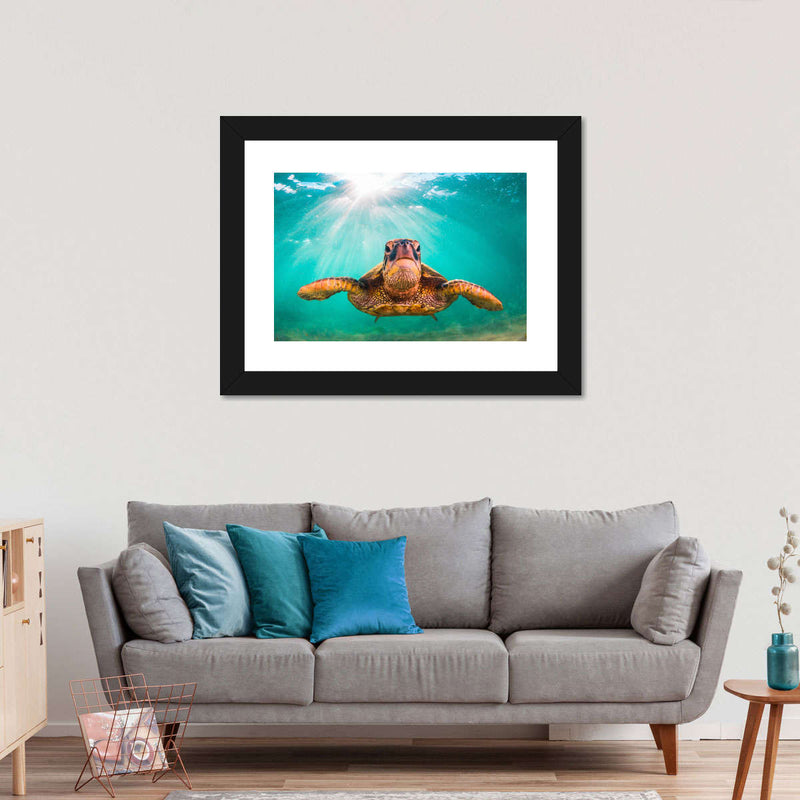 Maui Green Turtle Wall Art