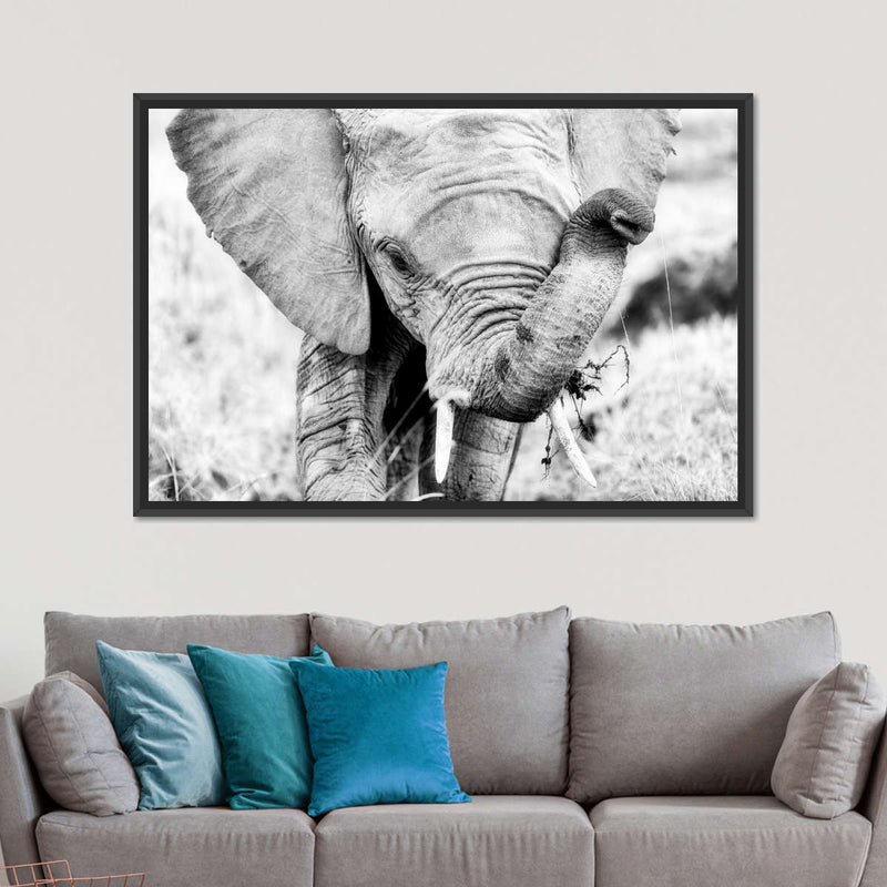 Kenyan Baby Elephant Wall Art