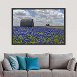 Texas Bluebonnets Wall Art