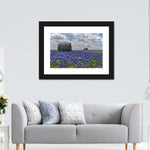 Texas Bluebonnets Wall Art