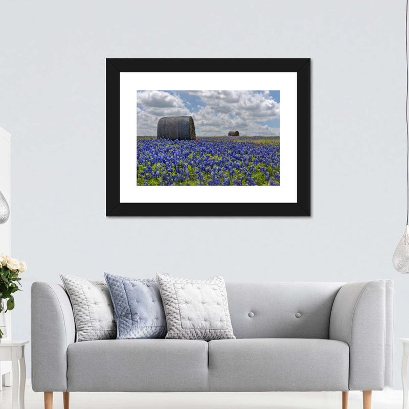 Texas Bluebonnets Wall Art