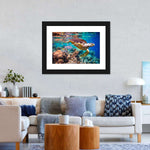 Vivid Sea Life Wall Art