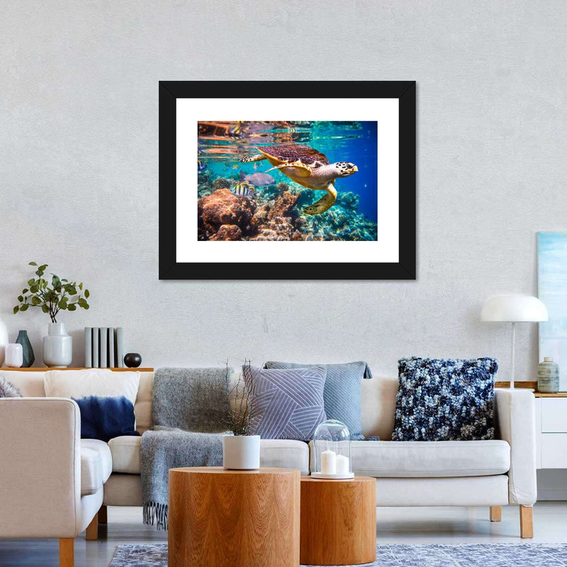 Vivid Sea Life Wall Art