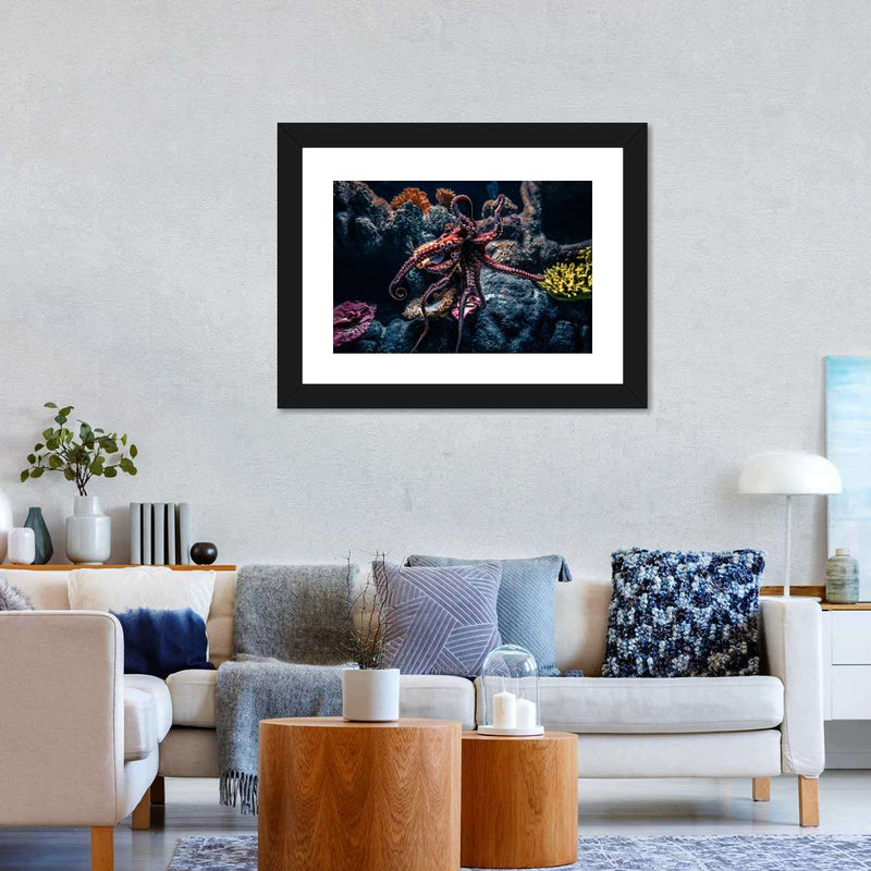 Octopus Habitat Wall Art