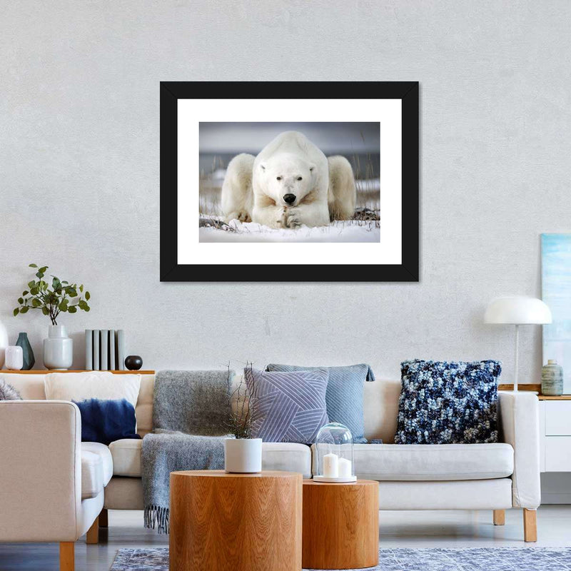 Yoga Polar Bear Wall Art