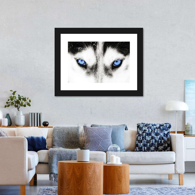 Husky's Eyes Wall Art