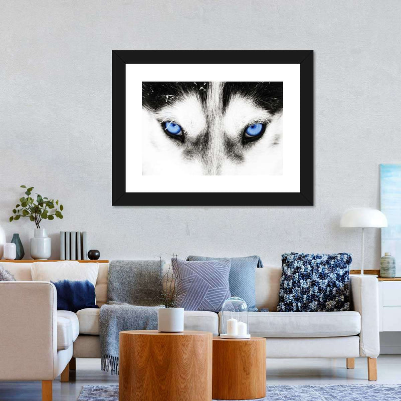 Husky's Eyes Wall Art