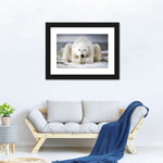 Yoga Polar Bear Wall Art