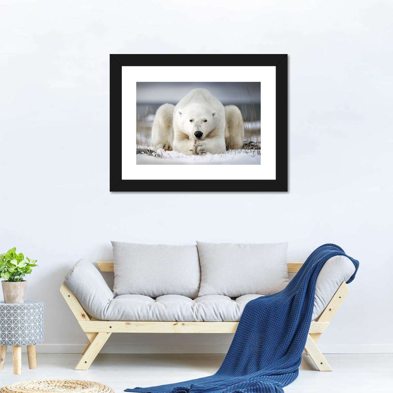 Yoga Polar Bear Wall Art