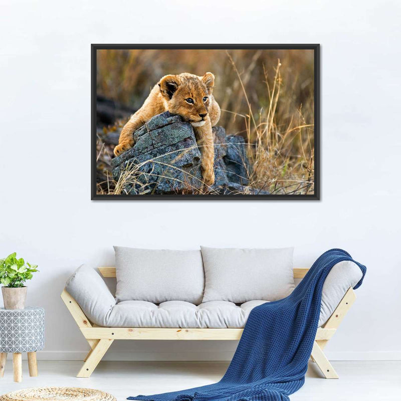 Safari Lion Cub Wall Art